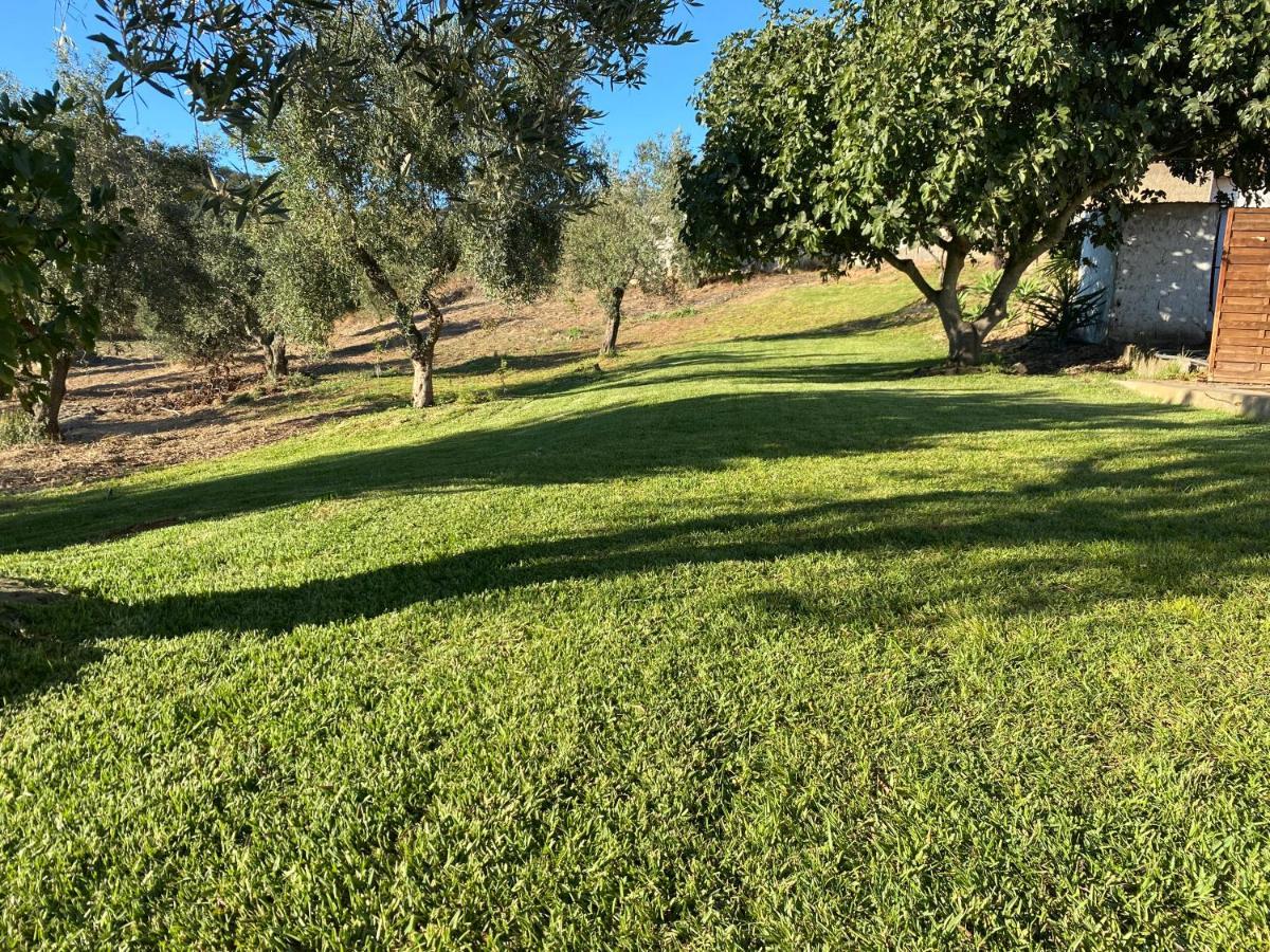 Villa Monte da Alameda Santa Luzia  Esterno foto